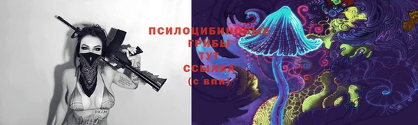 МДПВ Богородск