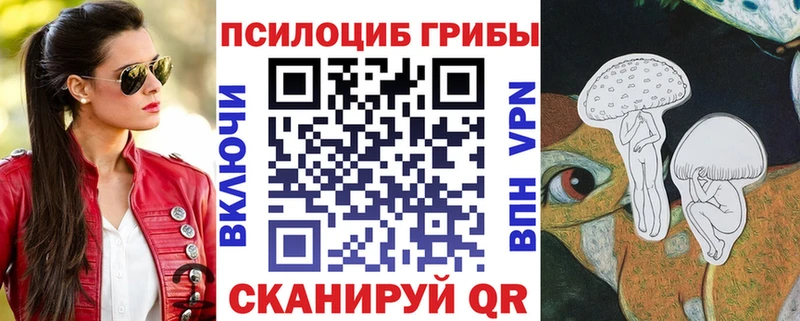 OMG   даркнет сайт  Цимлянск  Псилоцибиновые грибы ЛСД 